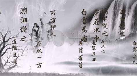 《诗经·秦风·蒹葭》鉴赏 - 金玉米 | 专注热门资讯视频