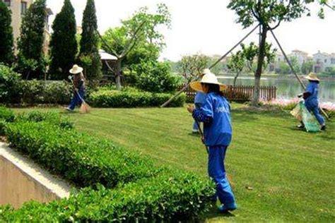 展现园林工匠精神 促进绿化质量提升-后勤管理处