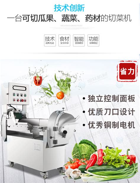 TW-805 大型切菜机 - 蔬菜脱水机 - 广州市天烨食品机械有限公司