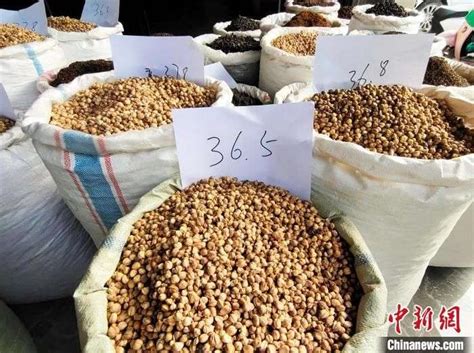 首届中国（玉林）香料产业博览会在玉林开幕 - 中国食品土畜进出口商会