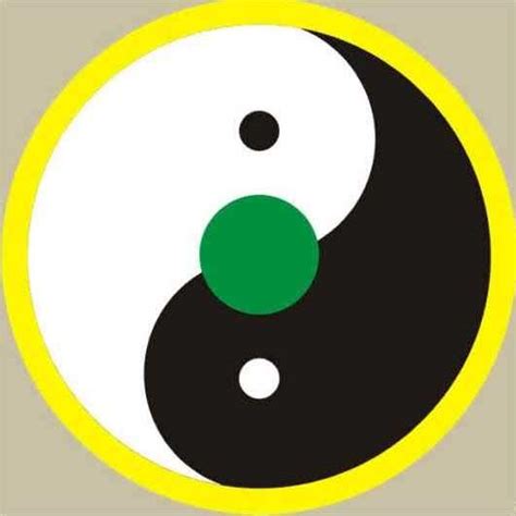 先天至宝太极图图片