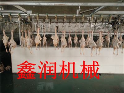 厂家定制直销整套鸡屠宰设备_中科商务网