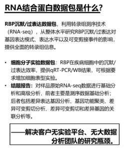 探讨血清RBP检测对AKI早期辅助诊断的临床价值--中国期刊网