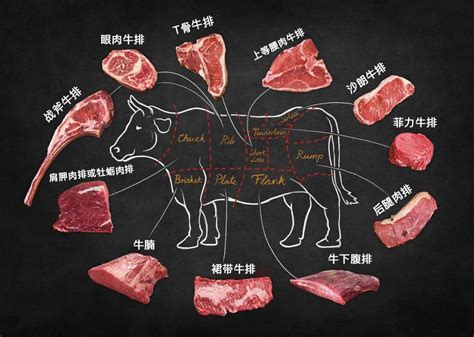 最全面的牛肉20个部位完整图解并教做法，真正的让您开眼界长知识