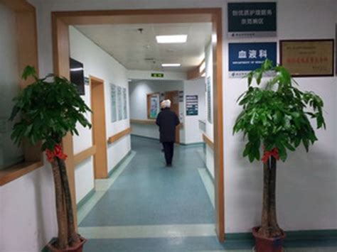 武汉市中心医院：打破医院围墙 建移动互联网医院-HIT专家网