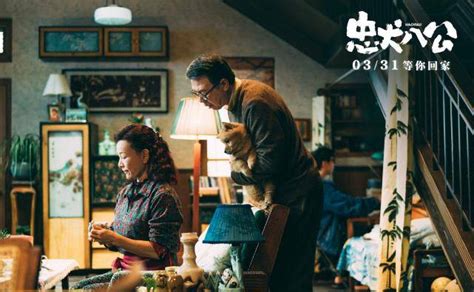 《忠犬八公》在线免费观看高清中字-国产电影-麻花影院（2023/1/2/3）