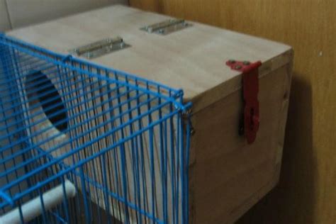 孵蛋器芦丁鸡孵化器小鸡小型家用全自动智能小飞碟鹦鹉鸟蛋孵化箱-阿里巴巴