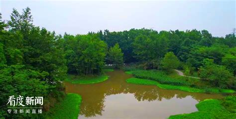 看度视频 | 走进崇州桤木河湿地 看冬日里的生机盎然 - 公园城 - 无限成都-成都市广播电视台官方网站