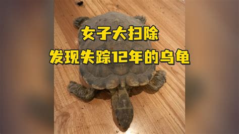 女子大扫除发现失踪12年的乌龟：养了1年陪了我12年_凤凰网视频_凤凰网