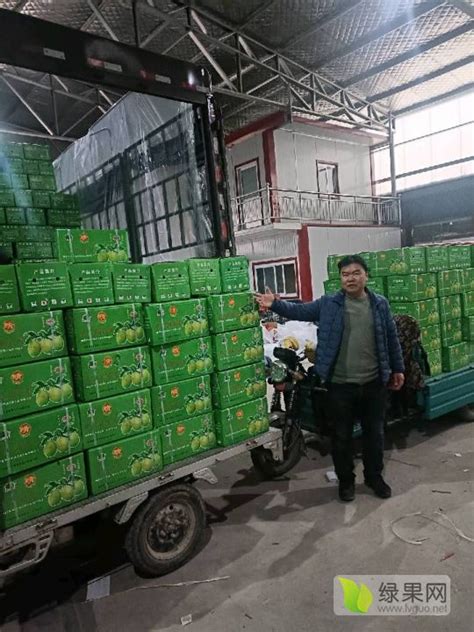 临猗县姚海霞果品种植专业合作积极为市场供应新鲜水果 --黄河新闻网