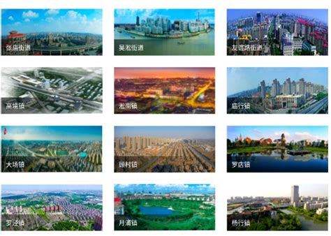 宝山数字政府建设宣传专栏_上海市宝山区人民政府