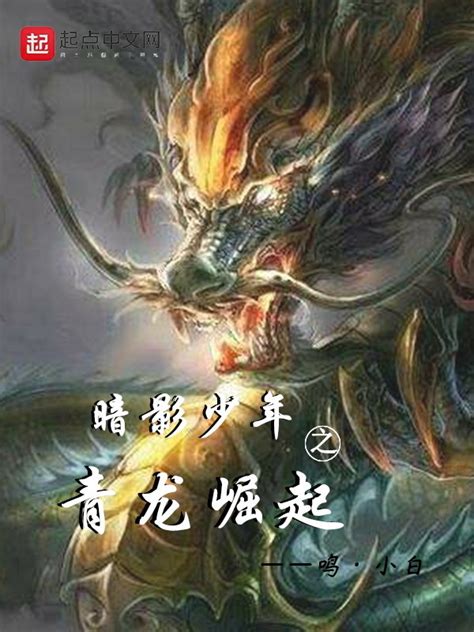《暗影少年之青龙崛起》小说在线阅读-起点中文网
