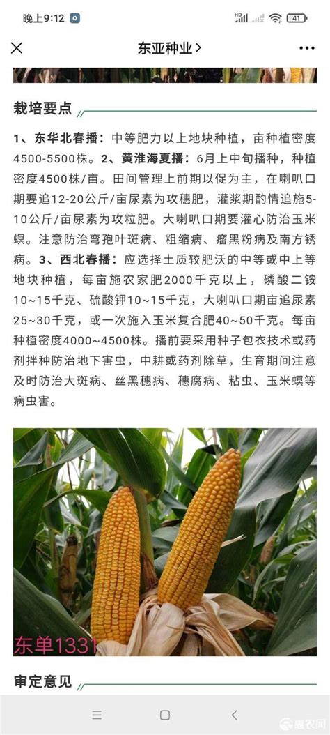 玉米常见种类，每个品种都各具特点（玉米的品种及品种特点）_中国历史网