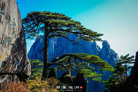 黄山旅游图图片