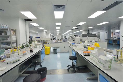 细胞组织培养实验室设计与施工-陕西西安【宏硕实验室设备官网】