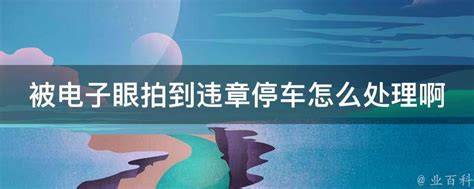 网上选的车牌号码不满意怎么办 网上选好号牌了怎么操作