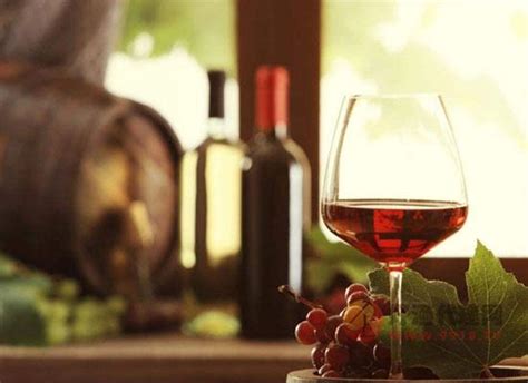 饭桌上应该怎么斟葡萄酒，斟酒的方法有哪些-葡萄酒-好酒代理网