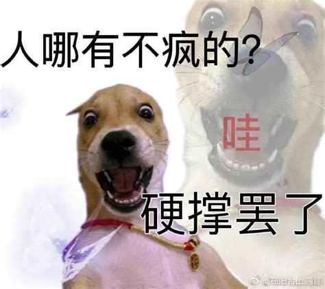 不卑微了我要发疯表情包图片