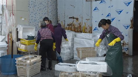 闸坡：渔货增多 水产品加工兴旺_澎湃号·媒体_澎湃新闻-The Paper