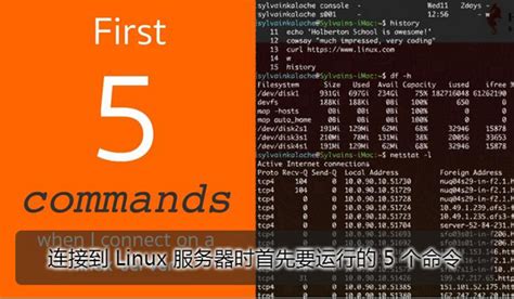 12个最适合云服务器的linux发行版本（下） - 弹性云服务器ECS - 新睿云
