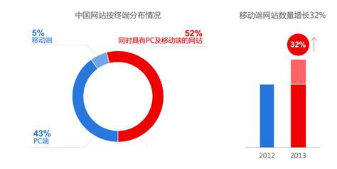 2013年中国网站建设发展权威数据出来了_厦门领众品牌策划有限公司