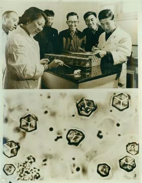 1965年9月17日上海生物化学研究所在世界上第一次人工合成胰岛素 - 历史上的今天