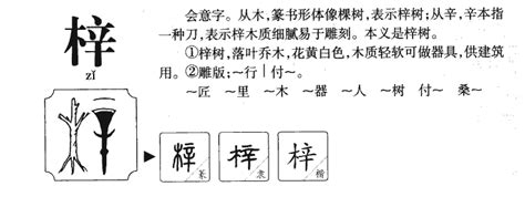 梓的连笔字怎么写,梓的甲骨文怎么写(第17页)_大山谷图库