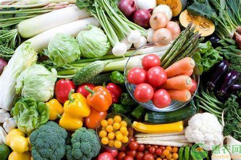 11月份蔬菜价格行情走势分析 - 惠农网