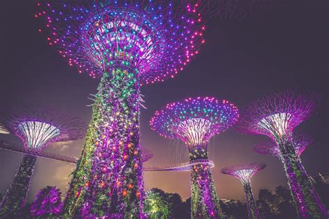 2024新加坡植物园游玩攻略,花园里的雕塑也非常精致，那...【去哪儿攻略】