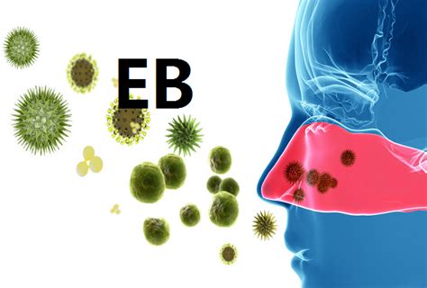 EB病毒感染的症状图片,EB病毒感染图片大全_EB病毒感染_39疾病百科