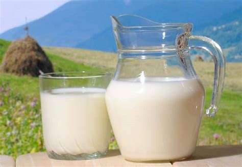 美国研究：每天喝2至3杯牛奶患乳腺癌风险高7成|乳腺癌|蛋白质|素食者|牛奶|风险|美国|豆浆|钙质|-健康界