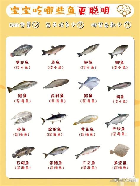 含DHA这么高的淡水鱼，菜场里很便宜，你还没给宝宝吃？|淡水鱼|海鱼|寄生虫_新浪新闻