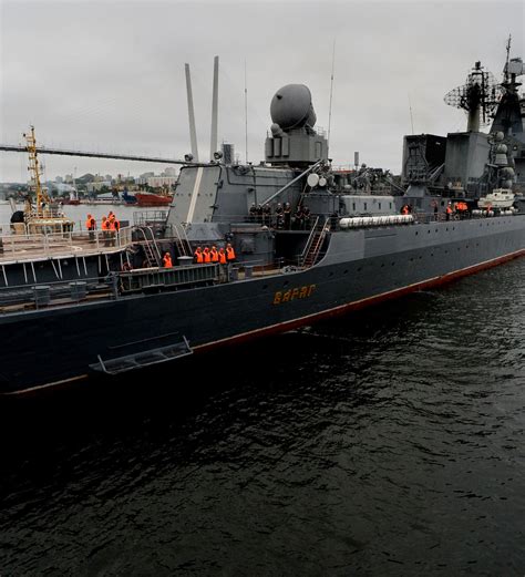 俄太平洋舰队作战舰艇支队驶抵越南港口金兰湾 - 2017年4月27日, 俄罗斯卫星通讯社