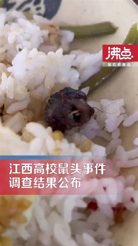 调查结果公布：江西高校饭菜中异物为鼠类头部|涉事_新浪新闻