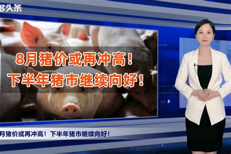 卖一头猪赚700！8月猪价或再冲高，业内：下半年猪市有2个高点！_凤凰网视频_凤凰网
