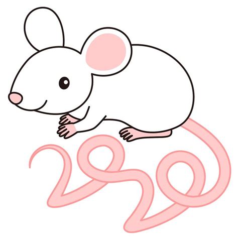 08年正月出生鼠起名字(如何给你的小鼠起一个有意义的名字)