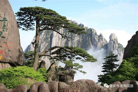 黄山自然风景区奇石猴子观海,山景区,旅游景点,摄影素材,汇图网www.huitu.com