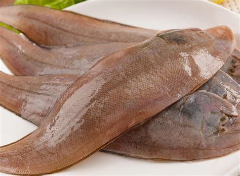 海南市场常见的海鱼有哪些？ - 达达搜