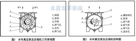 水环真空泵的基本结构图_过滤技术网