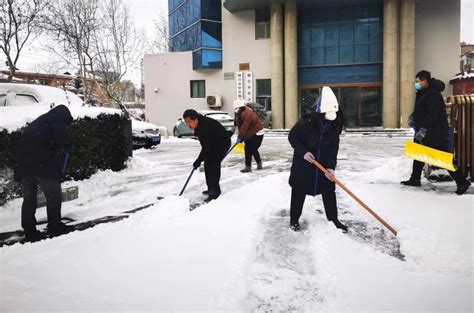 烟台市审计局 图片新闻 审计干部积极扫雪 助力冬至安全出行