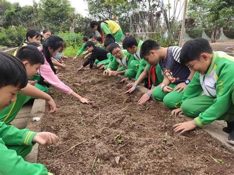花园小学开展农耕劳作社会实践活动