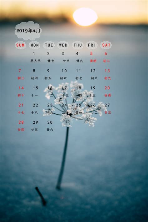 2022年日历表 中文版 纵向排版 周日开始 带周数 带农历 - 模板[DF011] - 日历精灵