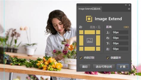 Image Extend扩展图像PS插件-PS智能扩展图像插件Image Extend免费版 - 维维软件园