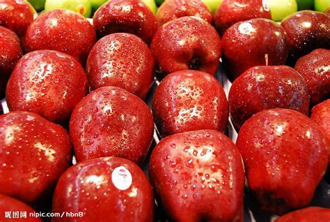 红富士苹果行情-甘肃红富士苹果多少一斤认准潘苹果品牌