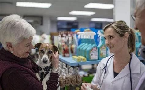 开办兽药经营企业与动物诊疗店所需条件