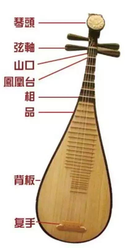 琵琶的主要种类-北京程一鸣音乐工作室_北京泛音列文化传播有限公司