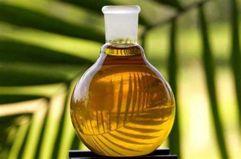 精炼棕榈油和棕榈油有什么区别？_百度知道