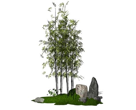现代竹子景观植物景观小品石头 SU模型[原创]