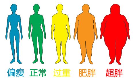 BMI指数 - 在线BMI计算器分析查询你的BMI指数和体脂率