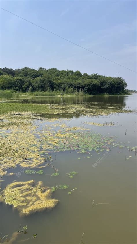 江宁红庙水库_江宁红庙水库钓鱼攻略_江宁红庙水库可以钓鱼吗 - 钓鱼之家